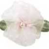 Babyrosa