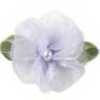 Lavendel