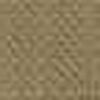 Beige Beige
