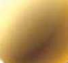 Gold Gold