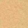 Beige Beige