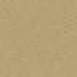 Beige Beige