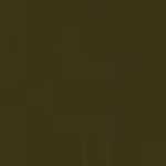 Olive Olive