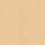 Haut Beige Haut Beige