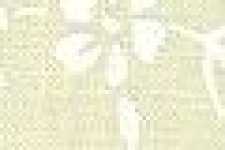 Grasblume / Beige-Basis