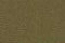 Kamelbeige