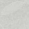 Grau