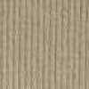 Beige Beige