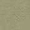 Beige Beige