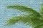 Palmtree-Saxe Blau