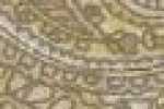 Paisley-Natur