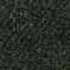 Grau