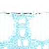 Saxe Blue X Off White