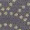 Blau-Wellen-Glyzinienviolett