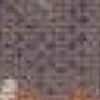 Libellen-Kyo Lila
