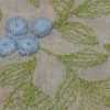 Rosa × Saxe-Blau