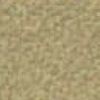 Beige Beige