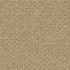 Beige Beige