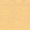 Beige Beige
