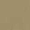 Safaribeige