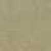 Safaribeige