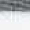 Grau