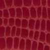 Rot Rot