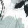 Grau