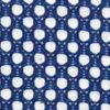 Blau Blau