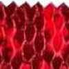Rot
