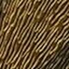 Gold/Schwarz