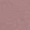 Orchidee