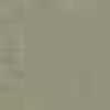 Beige Beige