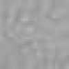Grau