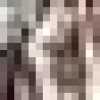 Bunt
