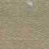 Beige Beige