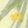 Creme