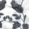 Monochrom