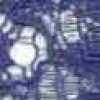Blau