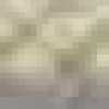 Hellbeige