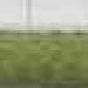 Grasgrün Grasgrün