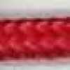 Rot