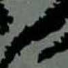 Grau