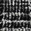 Schwarz X Weiß