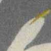 Grau