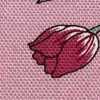 Tulpenrosa