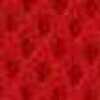 Rot Rot
