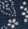 Blau Mit Botanischem Muster Blau Mit Botanischem Muster
