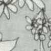 Grau