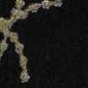 Schwarz/Gold